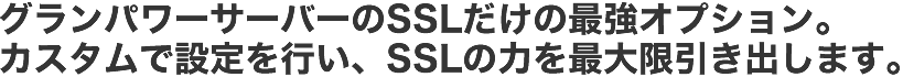 グランパワーサーバーでのSSL専用の最強オプション。カスタムで設定を行い、SSLの力を最大限引き出します。